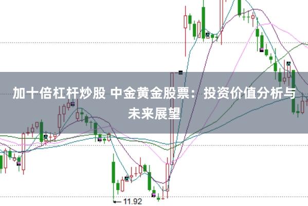加十倍杠杆炒股 中金黄金股票：投资价值分析与未来展望
