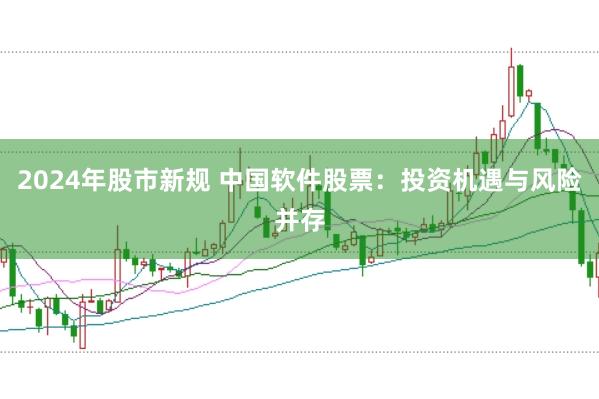 2024年股市新规 中国软件股票：投资机遇与风险并存