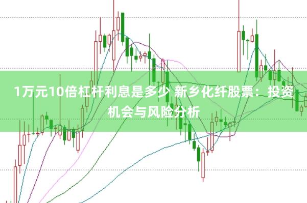 1万元10倍杠杆利息是多少 新乡化纤股票：投资机会与风险分析