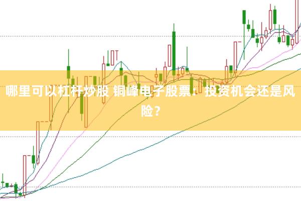哪里可以杠杆炒股 铜峰电子股票：投资机会还是风险？