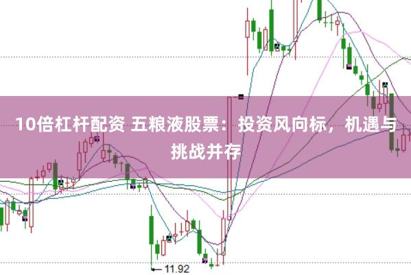 10倍杠杆配资 五粮液股票：投资风向标，机遇与挑战并存
