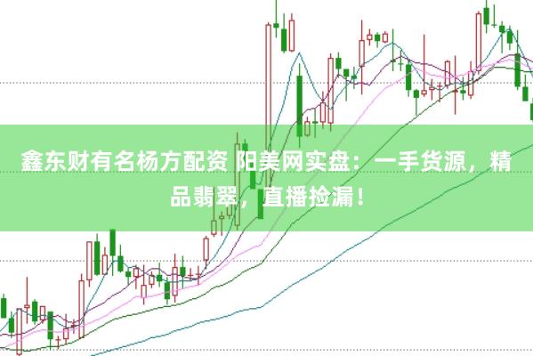 鑫东财有名杨方配资 阳美网实盘：一手货源，精品翡翠，直播捡漏！