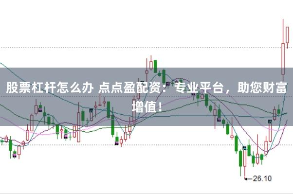 股票杠杆怎么办 点点盈配资：专业平台，助您财富增值！