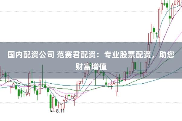 国内配资公司 范赛君配资：专业股票配资，助您财富增值