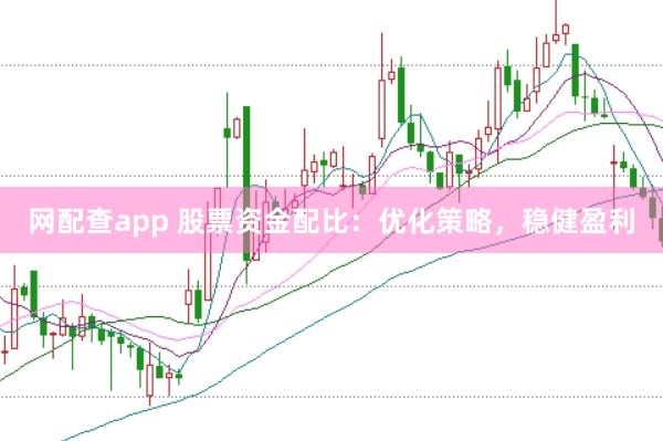 网配查app 股票资金配比：优化策略，稳健盈利