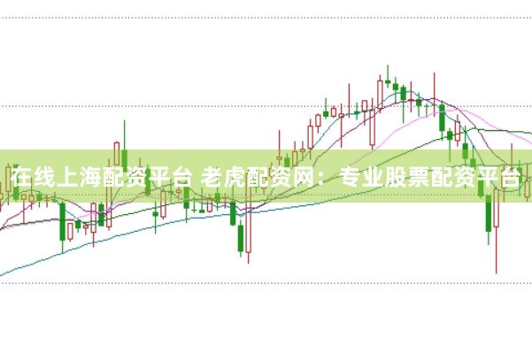 在线上海配资平台 老虎配资网：专业股票配资平台