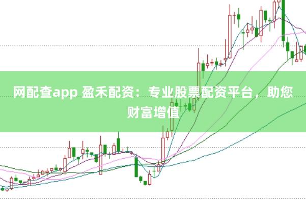 网配查app 盈禾配资：专业股票配资平台，助您财富增值