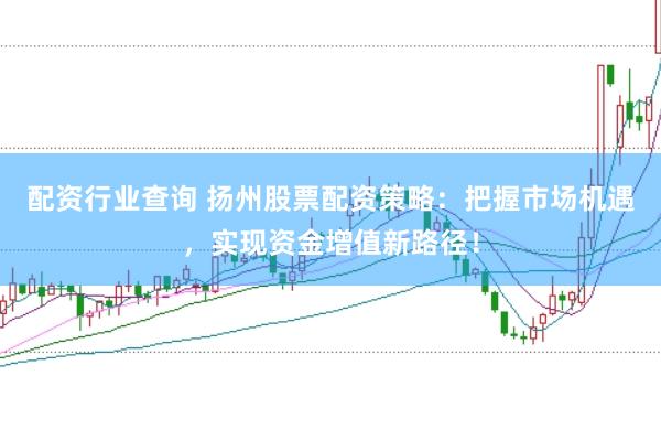 配资行业查询 扬州股票配资策略：把握市场机遇，实现资金增值新路径！