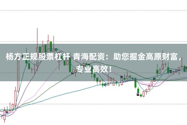 杨方正规股票杠杆 青海配资：助您掘金高原财富，专业高效！