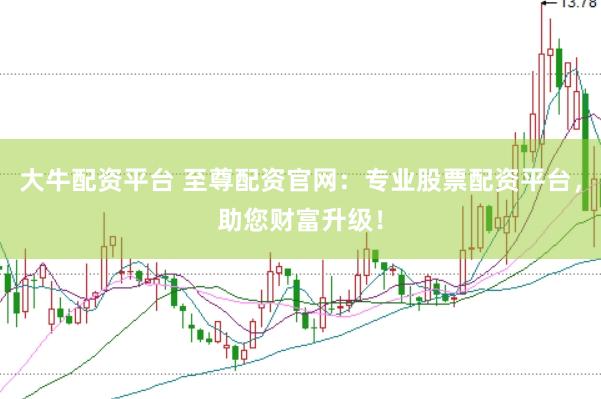大牛配资平台 至尊配资官网：专业股票配资平台，助您财富升级！