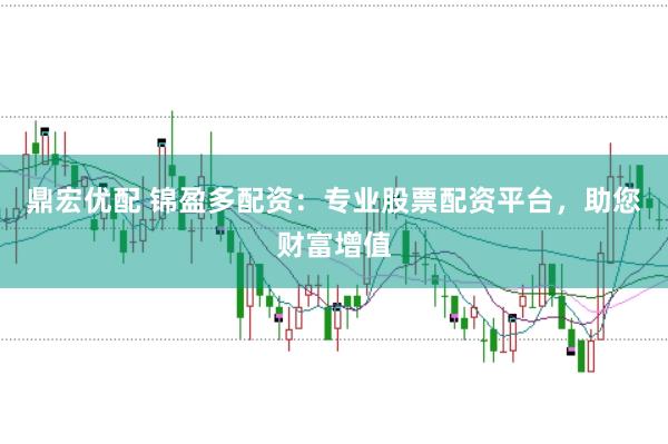鼎宏优配 锦盈多配资：专业股票配资平台，助您财富增值