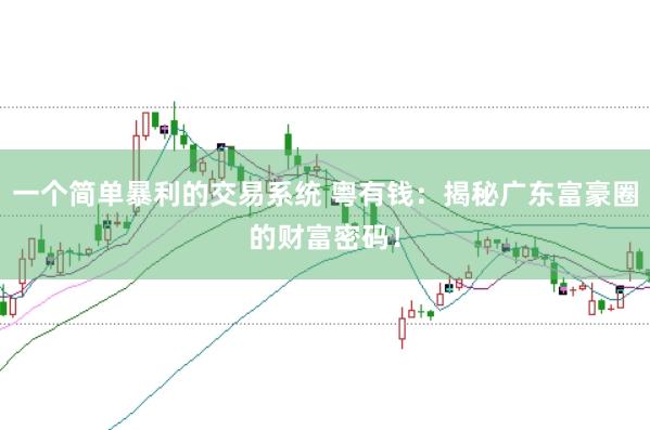 一个简单暴利的交易系统 粤有钱：揭秘广东富豪圈的财富密码！